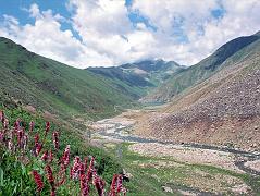 
We descend from the Babusar Pass into the Kaghan Valley to see beautiful wildflowers blooming on the side of the road with the dark green waters of Lake Lulusar (3350m) in the distance.
